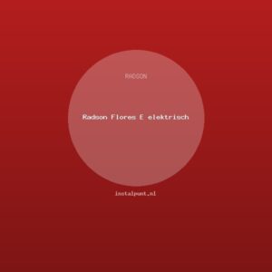 Radson Flores E elektrisch