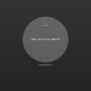 Jaga Vertilina Hybrid