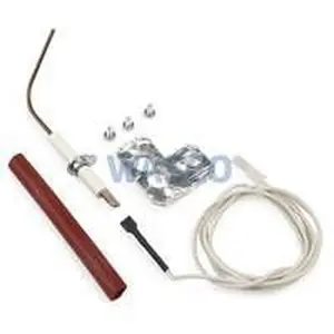 Remeha ionisatie elektrode HP35A tot serie nr. 3145600002