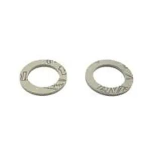 Remeha Pakking (2 stuks) 7748849
