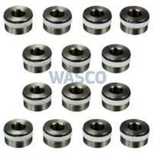 Remeha service reparatieset doppen wisselaar (14stuks)