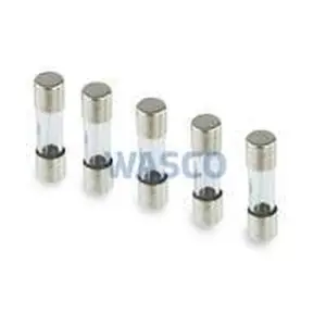 Remeha glaszekering 1,6a 5 stuks voor Tzerra en Tzerra Ace