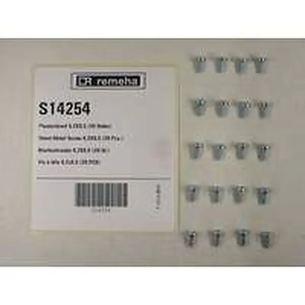 Remeha plaatschroef 4,2 x 9,5 mm 20 stuks