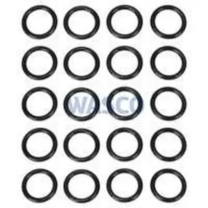 Remeha O-ring 20 stuks
