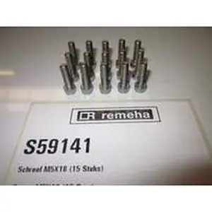 Remeha schroef M5 x 18 mm 15 stuks
