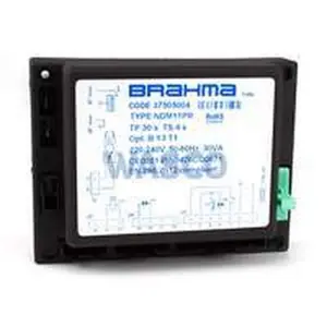 Remeha branderautomaat