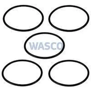 Remeha O-ring 76 x 4 mm 5 stuks