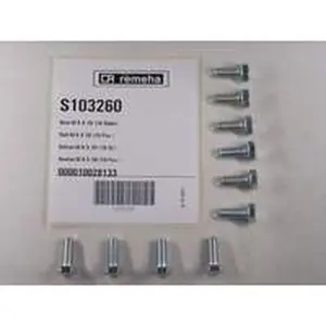 Remeha bout M8 x 20 mm
