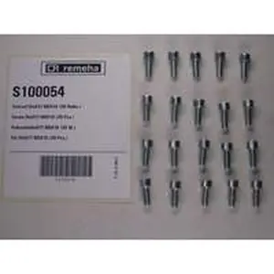 Remeha schroef DIN912 M5 x 16 mm 20 stuks