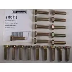 Remeha bout M12 x 45 mm 20 stuks