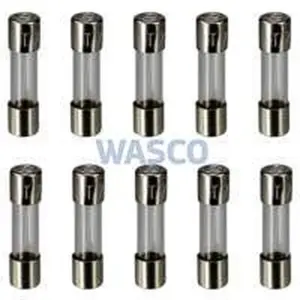 Remeha glaszekering 2A traag 10 stuks voor Avanta en Calenta e.a.
