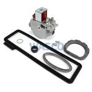 Remeha gasblok 40kW voor Tzerra Ace
