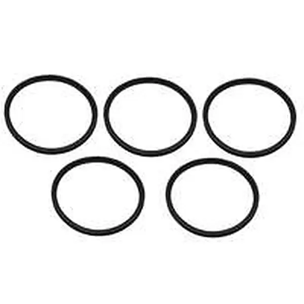 Remeha afdichtring Ø100 (5 stuks)