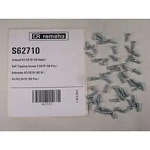 Remeha schroef K3,5 x 10 mm 50 stuks