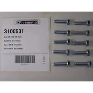 Remeha bout M8 x 30 mm 10 stuks
