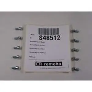 Remeha bout M5 x 10 mm 10 stuks