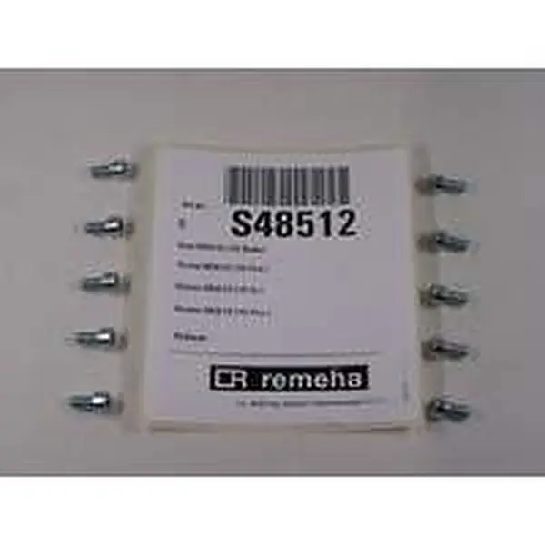 Remeha bout M5 x 10 mm 10 stuks