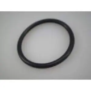 Remeha O-ring inwendig 72,62 x 3,53 mm