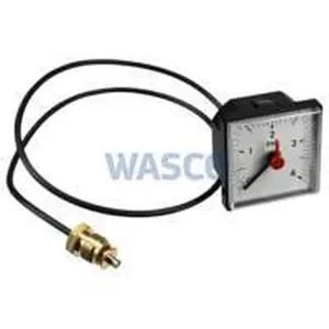 Remeha manometer inclusief tule voor Quinta