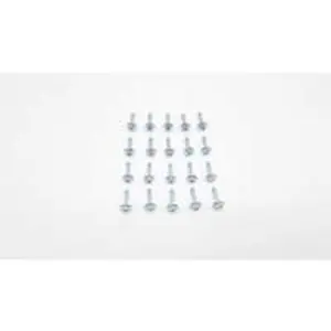Remeha schroef M5 x 20 mm (20 stuks)