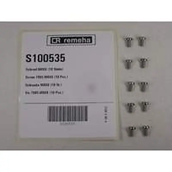 Remeha schroef M4 x 8 mm 10 stuks