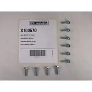 Remeha bout M5 x 20 mm 10 stuks