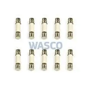 Nefit zekering trafo 2,5A 10 stuks oud nummer: 73315S