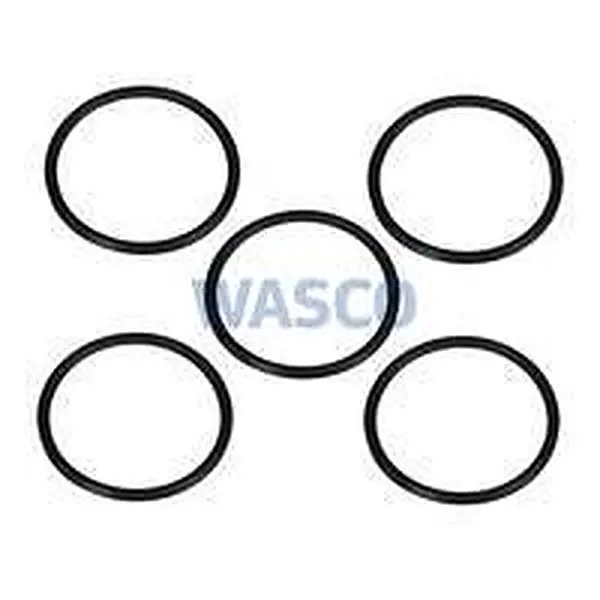 Nefit O-ring R 60x3,5x4 mm 5 stuks oud nummer: 73440S