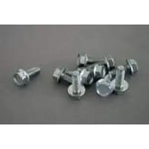Nefit snijschroef M6 x 16 mm met ring 10 stuks