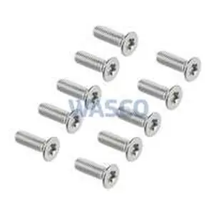 Nefit schroef M5 10 stuks oud nummer: 74596S 7100549