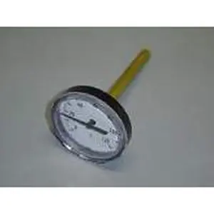 Nefit thermometer