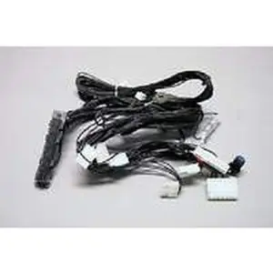 Nefit kabelboom 24V oud nummer: 73824 voor EcomLine