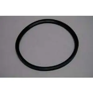 Nefit lipring 125mm oud nummer: 7746900323