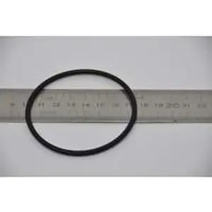 Nefit O-ring pomp voor TopLine