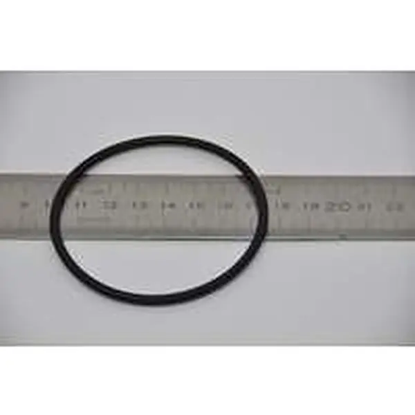 Nefit O-ring pomp voor TopLine