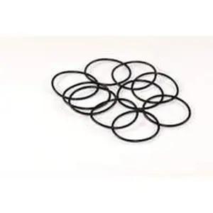 Nefit O-ring (10 x)