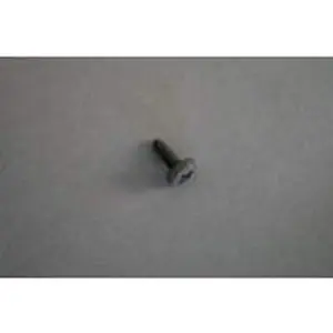 Nefit schroef 87034010690, 10 stuks
