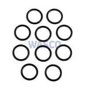 Nefit O-ring 10 st 22 x 2,5 mm