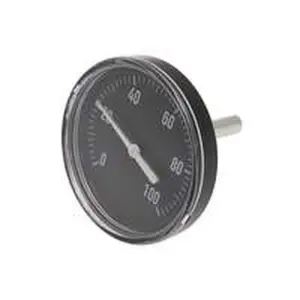 Vaillant thermometer