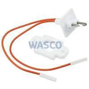 Vaillant electrode ontsteek