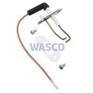 Vaillant electrode ontsteek