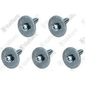 Vaillant schroef (5 stuks)