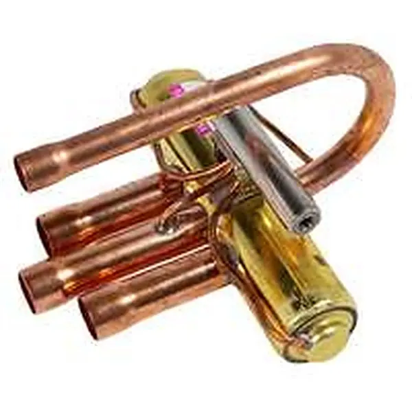 Vaillant klep