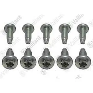 Vaillant schroef 0020195482, 10 stuks