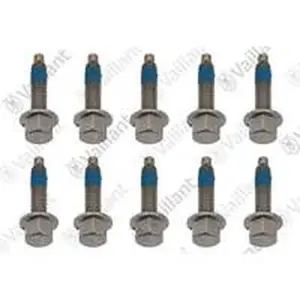 Vaillant schroef 0020195489, 10 stuks