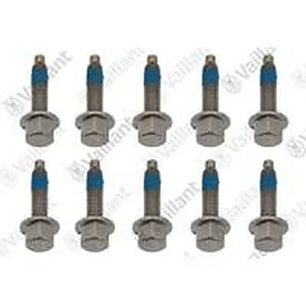Vaillant schroef 0020195489, 10 stuks