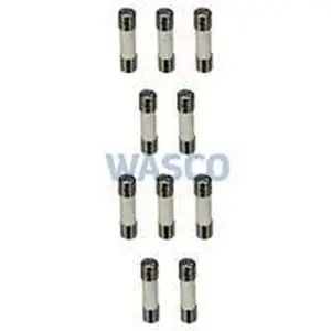 Vaillant zekering 2,0A T2H 10 stuks voor ecoTEC plus en ecoTEC pro e.a.