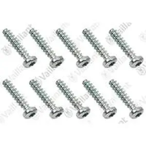 Vaillant schroef 0010031347