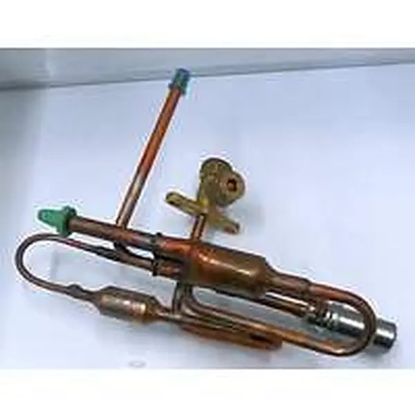 Vaillant expansieventiel