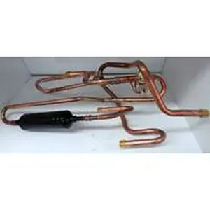 Vaillant klep